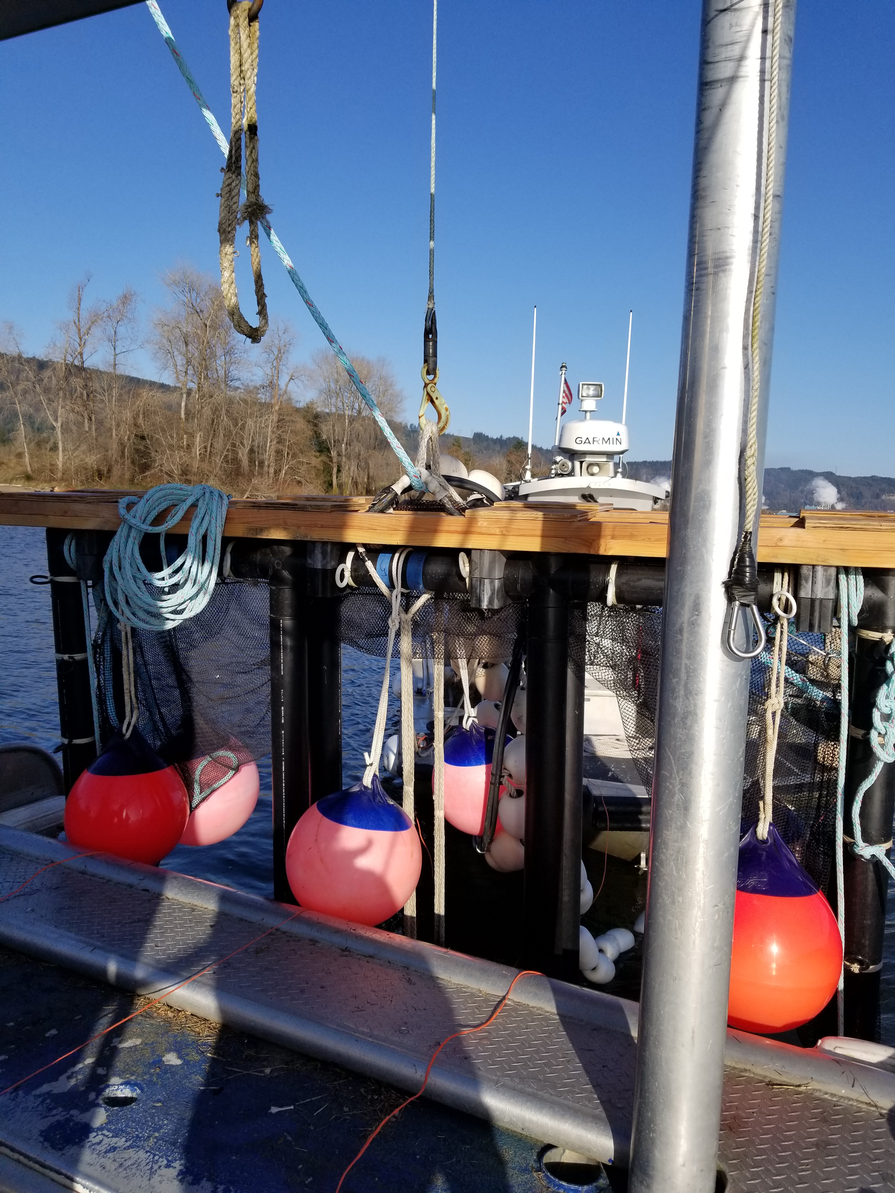 Bouys hanging on Dock at Estaury Pair Trawl Project